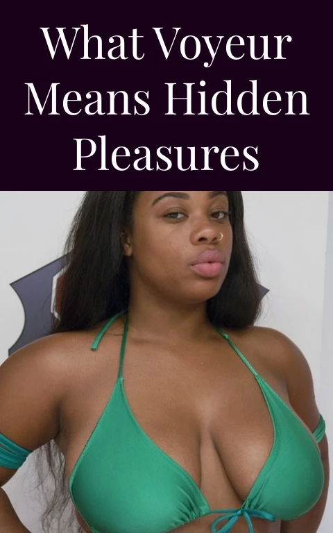 What Voyeur Means Hidden Pleasures